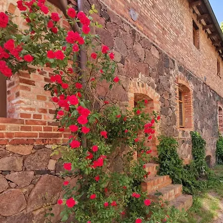 In Mit Grossem Garten By Interhome Haselberg