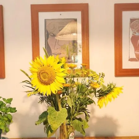 Apartment In Mit Grossem Garten By Interhome Haselberg